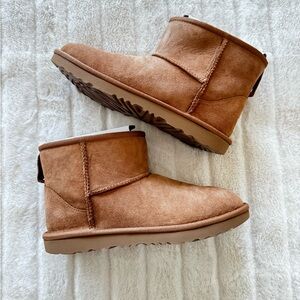 UGG • Mini II • Chestnut • New In Box • Kids 6 = Women’s 8